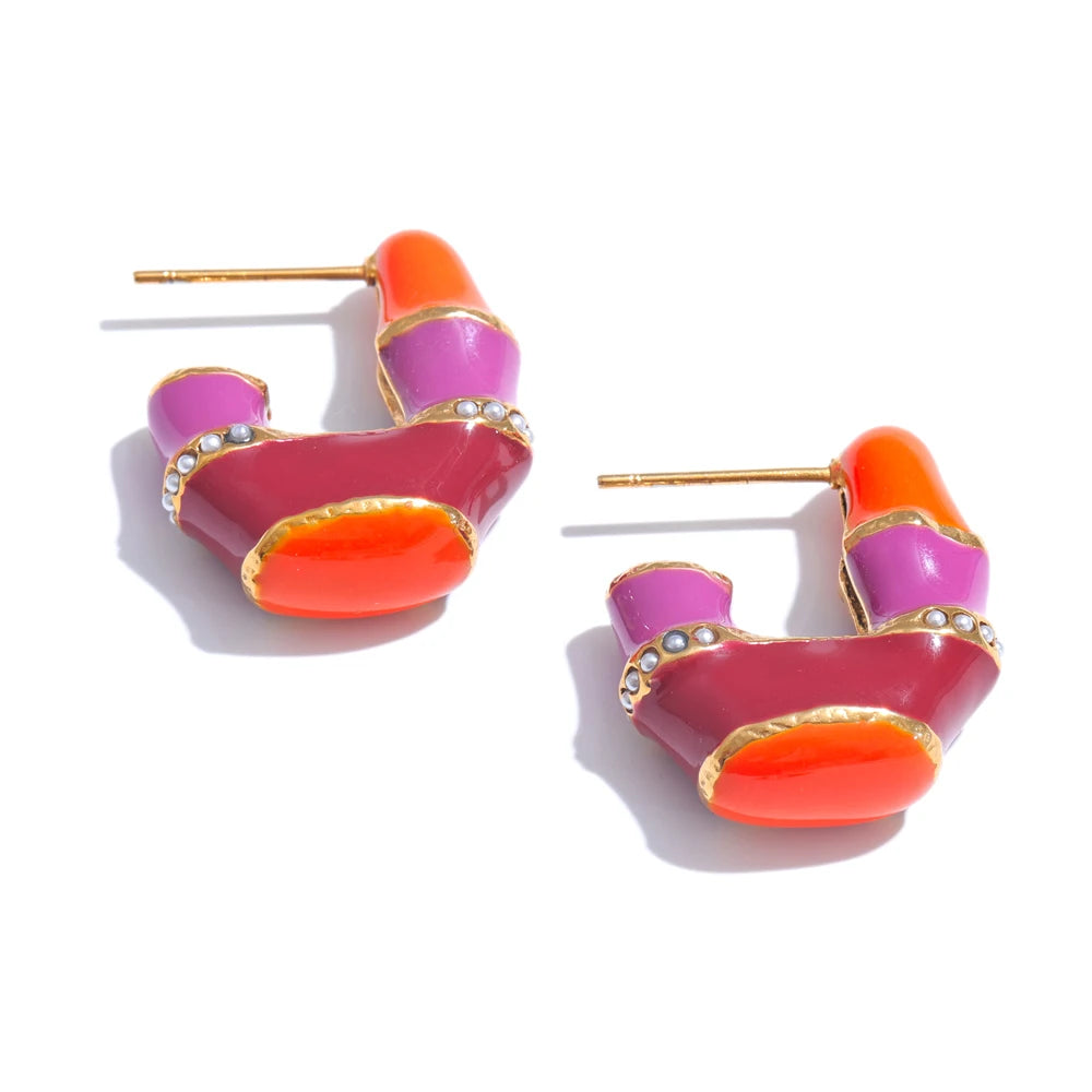 Orecchini con Ciondoli Multicolore